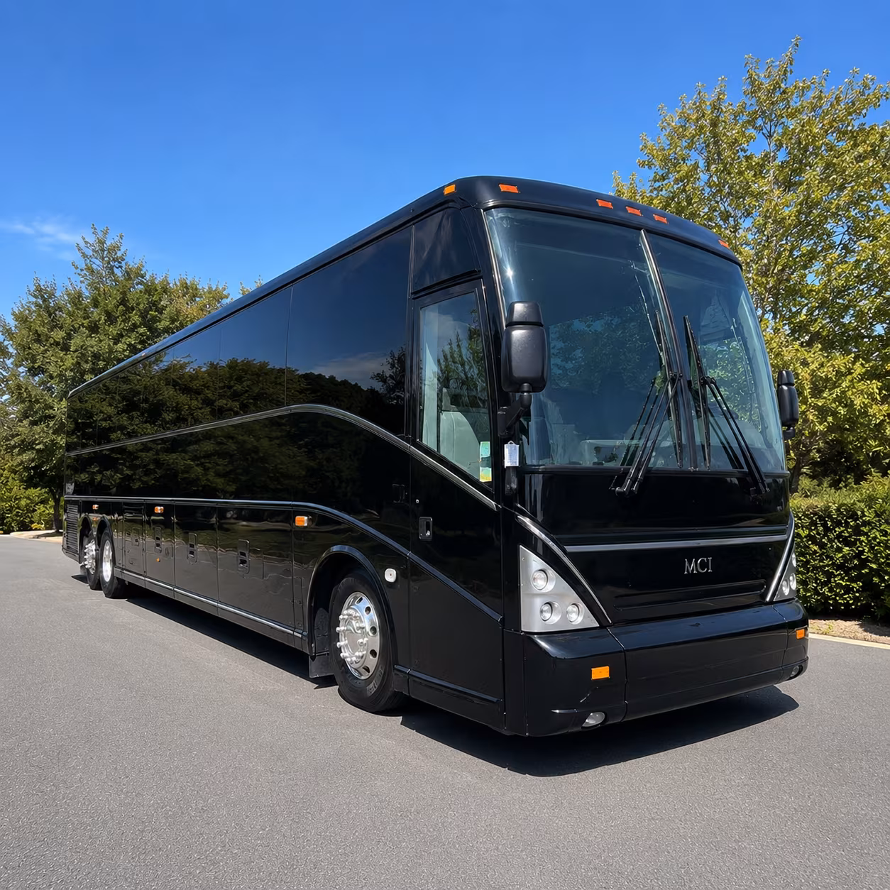 group buses to minor league baseball at lelacheur park and delta dental stadium